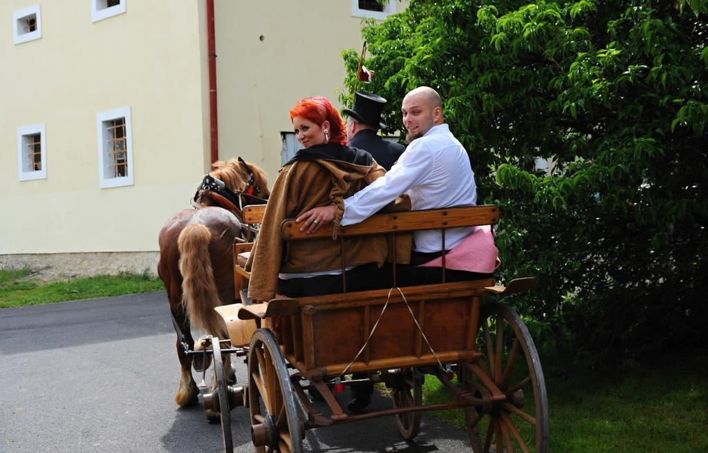 Penzion Zámek Rozsochatec Exterior foto